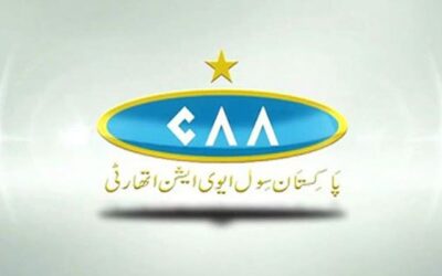 Licences of 50 pilots were fake: CAA